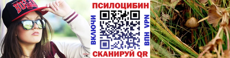 Купить закладки  Грязовец  Галлюциногенные грибы Psilocybine cubensis 